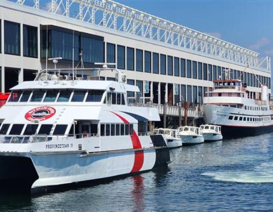 commonwealth pier revitalization